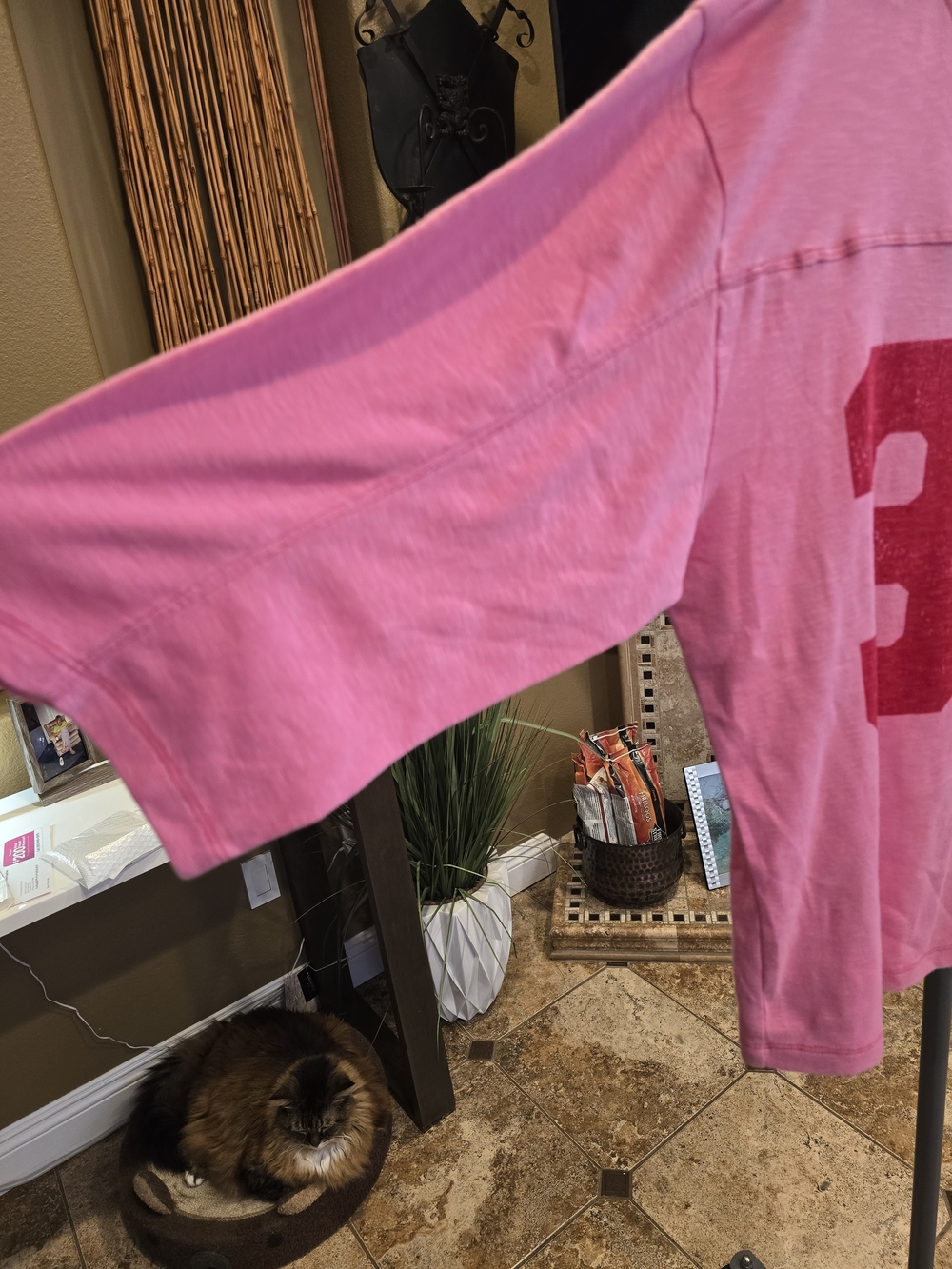 Pilcro Pink Oversized Tee With Dark Pink Graphic, NWT, M - Picture 4 of 8